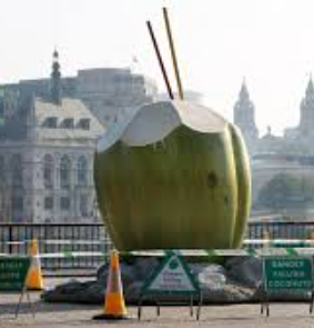 Coconut Water