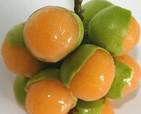 Quenepas